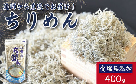 【漁師自ら獲れたて加工！】 ちりめん 400g 食塩無添加 ちりめんじゃこ 徳島県 小松島