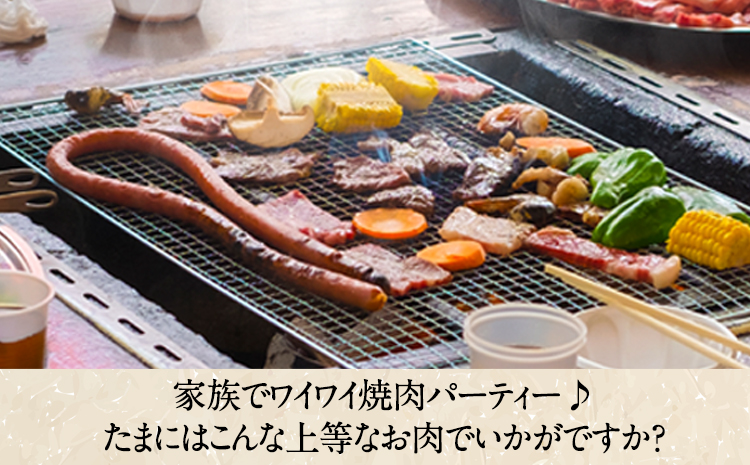 肥後のあか牛 焼き肉用 1000g 長洲501 熊本 特産 あか牛《90日以内に出荷予定(土日祝除く)》