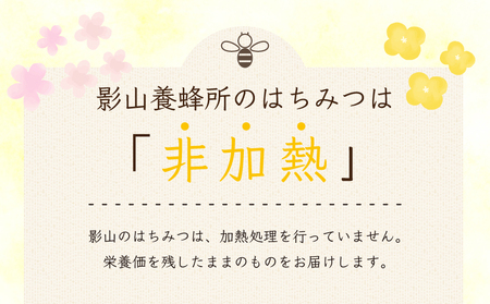 先行予約 はちみつ 蜂蜜 国産 600g 非加熱 瓶入り 百花蜜 百花蜂蜜 純粋 プレゼント 贈答用 徳島県 阿波市 影山養蜂研究所 無添加 百花蜂蜜 百花はちみつ 純粋はちみつ 生はちみつ 天然はち