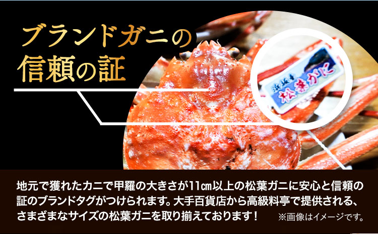 活き タグ付き 松葉ガニ カニ 700g 1杯 さんチョク《11月中旬から4月上旬頃出荷》鳥取県 八頭町 送料無料 蟹 かに 鍋 ズワイガニ ズワイ蟹 生 冷蔵