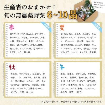ふるさと納税 明和町 宮殿の厨房野菜 おまかせ 定期便 (3回) 六月農園 |  | 02