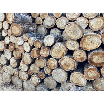 ふるさと納税 伊那市 乾燥・ナラ薪40cm　(20kg×2箱セット)(DLD　ディーエルディー) |  | 02