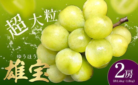 雄宝2房《8月下旬-9月下旬頃出荷》雄宝雄宝ぶどうぶどう【配送不可地域あり】(離島)
