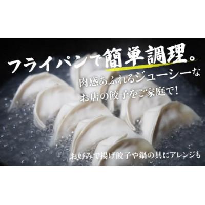 ふるさと納税 高山市 飛騨高山餃子100個入(生冷凍)簡易包装　TR3493 |  | 02