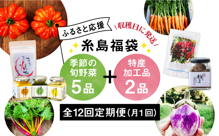 【全12回定期便】 朝採り季節のオーガニック旬野菜お任せ5品＋糸島産の大ヒット特産加工品2品（ジャム、ドレッシング、醤油、天然塩、乾物、佃煮、お漬物、etc…）の7品セット [AGE032]