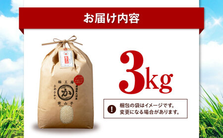 お米 ヒノヒカリ 3kg 白米 3kg [AGAV025]