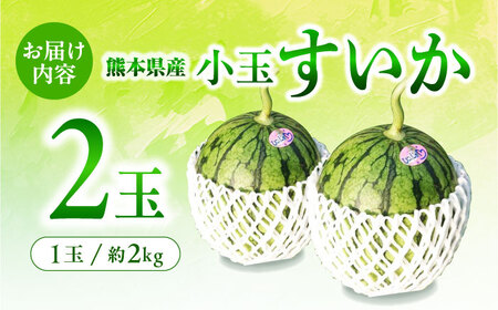 小玉すいか スイカ 2玉 令和8年産 ZCN005