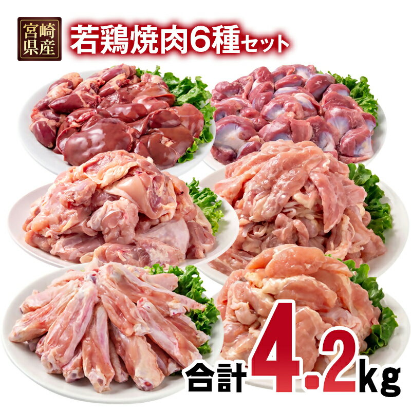 【ふるさと納税】宮崎県産若鶏 6種 4.2kg 焼肉用 小分け もも肉 砂肝 手羽中ハーフ等々6種 小分け 15パック＜1.8-32＞とり肉 国産 真空パック 切身 切り身モモ肉 肝 レバー 砂肝 せせり チキンスティック 肩肉 TRINITY