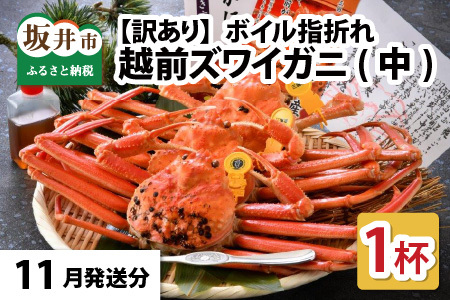 【11月発送】【先行予約】【訳あり】越前がに（中）1杯 指折れ 越前ズワイガニ [E-4353_11]