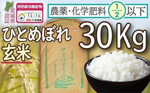 
新米 特別栽培米 ひとめぼれ 玄米 30kg 宮城県登米市産【令和5年度産】 農薬・化学肥料節減米 宮城県認証 うるち米 30キロ
