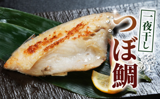 干物 7パック セット サバ ホッケ さんま 金目鯛 つぼ鯛 銀鮭 紅鮭 冷凍 ひもの 詰め合わせ 人気 個包装 小分け 熟成干物 こだわり 鯖 秋刀魚 金目 鯛 鮭 さけ しゃけ ひもの コスパ ランキング 千葉県 銚子市 甲印小西商店