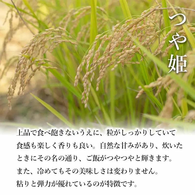 【令和8年産】特別栽培米つや姫 5kg×12ヶ月定期便