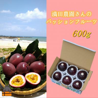 ふるさと納税 徳之島町 【先行予約】満田農園さんのパッションフルーツ(約600g) |  | 01