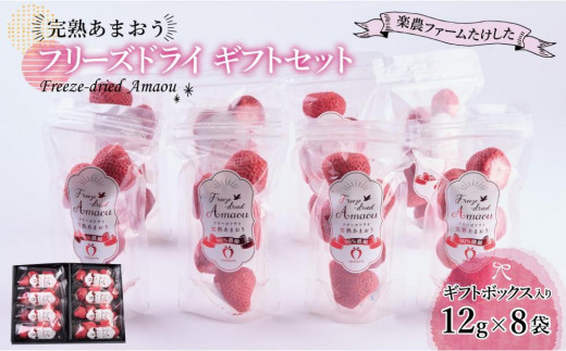 
                  形も味もそのまま楽しめる！完熟あまおう【フリーズドライギフトセット】 (12g×8袋)【あまおう 食品 あまおう フルーツ あまおう 果物 苺くだもの いちご 食品 イチゴ 人気 あまおう おすすめ 送料無料 福岡県 大川市 AA044】
                
