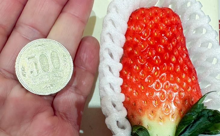 しあわせ島いちごデラックスハーフ(DXh)