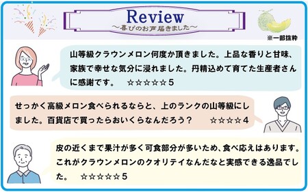 クラウン印マスクメロン（山）1玉　箱入り