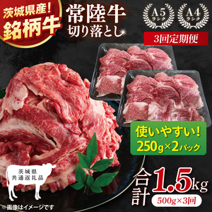 【茨城県共通返礼品】【3ヶ月定期便】常陸牛切り落とし 500g（250g×2）【黒毛和牛 国産 銘柄牛 牛肉 肉 冷凍 茨城県産】(81-19)