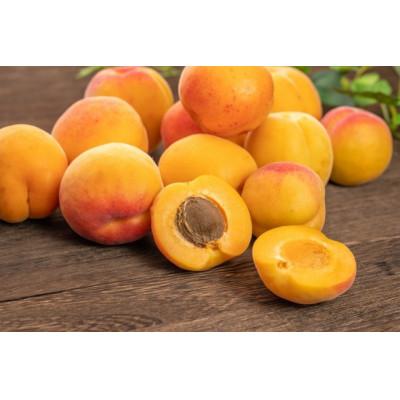 ふるさと納税 長野県 生あんず 加工/生食用( 信州サワー または 信州大実 )約2kg(小サイズ) 長野県産 産地直送