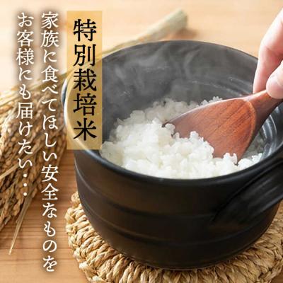 ふるさと納税 糸島市 【全3回定期便】☆畑直送☆限定!栽培期間中農薬不使用!お米2kg&野菜7品セット[AGE036] |  | 01