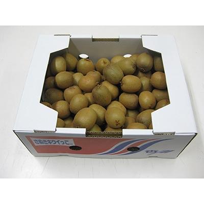ふるさと納税 さぬき市 さぬきキウイっこ　約2kg |  | 01