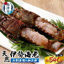 【ふるさと納税】 伊勢海老 えび 殻付き 刺身 冷凍 お造り セット 焼津 約540g （2〜3匹） お刺身用に加工済 a30-171