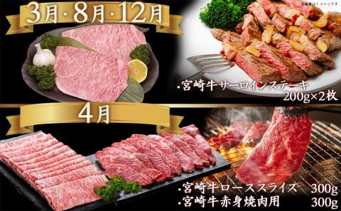 宮崎牛定期便(10ヶ月)_T120（10）-0103