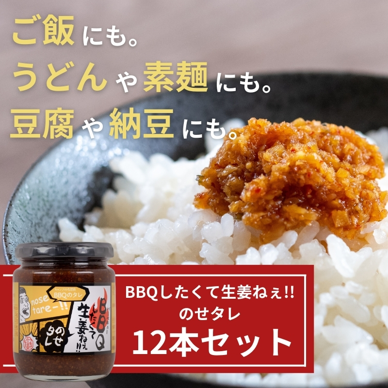 BBQしたくて生姜ねぇ!!のせタレ12本セット 【しょうが 国産 醤油漬け バーベキュー 焼肉 たれ ごはんのお供 お弁当 調味料 おつまみ 肴 薬味 隠し味 猪苗代町 福島県】