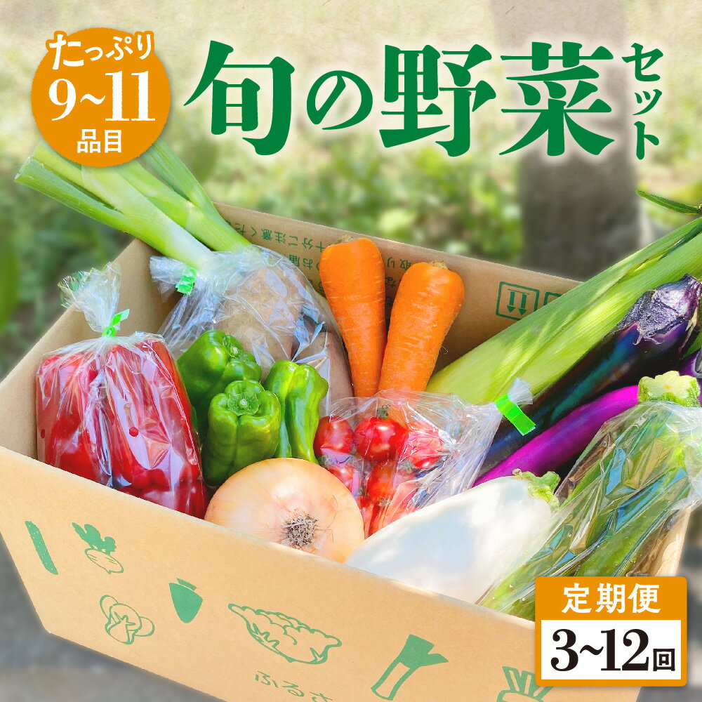 【ふるさと納税】【定期便／3ヶ月〜12ヶ月】たっぷり旬の野菜セット 9〜11品目 3ヶ月 6ヶ月 12ヶ月 定期 季節 旬 春野菜 夏野菜 秋野菜 金ケ崎町 旬 新鮮 野菜 セット 詰め合わせ おまかせ