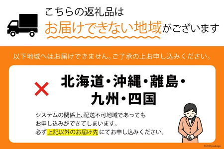 ＜先行受付＞朝採り 即出荷 甘くてプチプチ ゴールドラッシュ 6本 [しゃんと畑 山梨県 中央市 21470241] 野菜 とうもろこし トウモロコシ