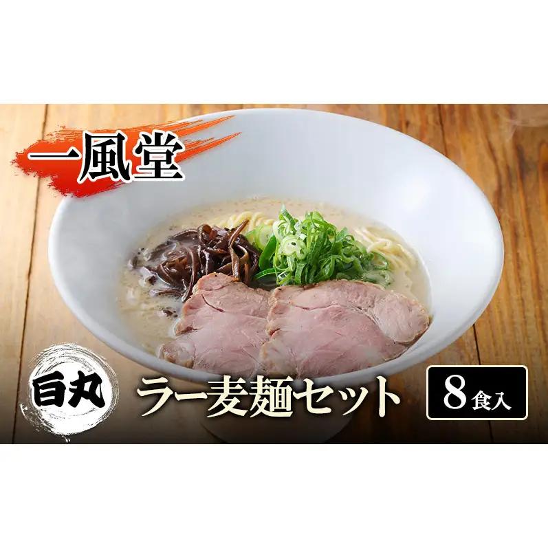 一風堂 白丸 ラー麦麺セット 8食入 豚骨ラーメン ラーメン とんこつ