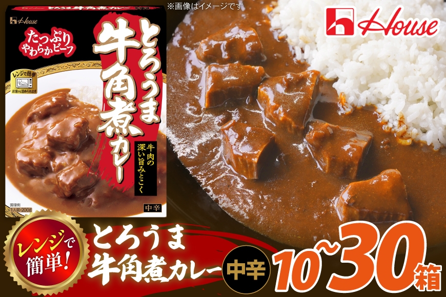 
                  カレー レトルト ハウス とろうま牛角煮カレー 中辛 【選べる内容量】 [翔栄通商 愛知県 江南市 ko23btu570038] レトルト食品 カレー 牛 角煮 スパイス ハウス食品 レンジ 湯煎 ストック 大容量 簡単 時短 常温保存 セット ランチ
                