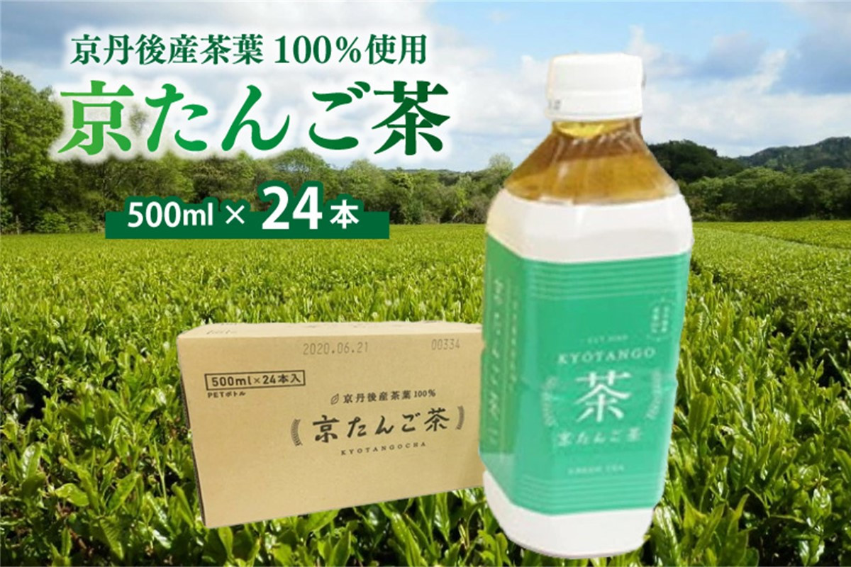 
【ペットボトル 緑茶】京都・京たんご茶（ペットボトル 500ml×24本）京都・京丹後の山あいの茶園　一番茶葉100％使用　＜緑茶／ペットボトル／お茶＞　AM00572
