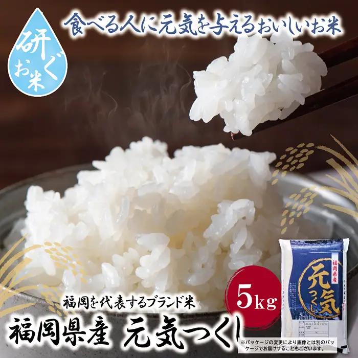 Z17-25 令和7年産 研ぐお米 元気つくし5kg