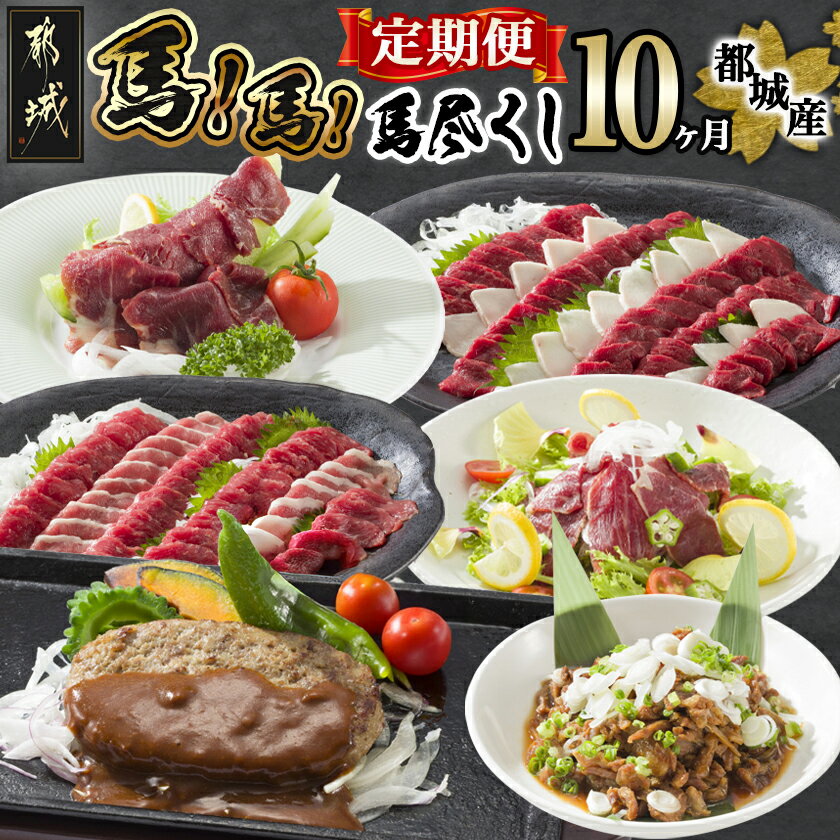都城産馬！馬！馬尽くし定期便(10ヵ月) - 定期便 馬刺し 馬ハンバーグ 馬生ハム 馬すじ煮込み 10ヵ月定期便 送料無料 T80-0101【宮崎県都城市は令和4年度ふるさと納税日本一！】