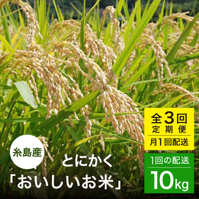 【ふるさと納税】【全3回(月1)定期便】 とにかくおいしいお米 ひのひかり または にこまる 10kg 糸島市 / シーブ [AHC050] 米 定期便10万円144000円