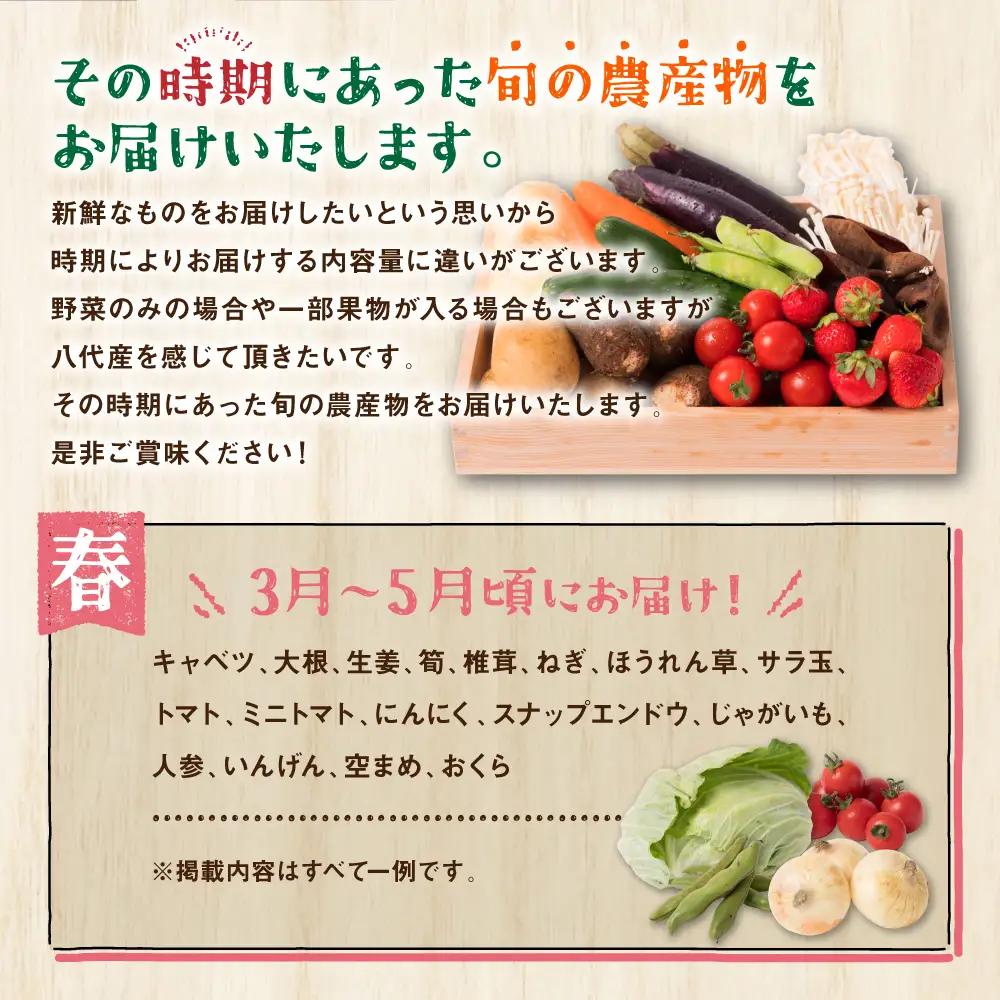 【12ヵ月定期便】八代市産！旬の農産物詰合せ 復興 福袋 7品以上 野菜 果物 やさい くだもの フルーツ セット 季節の野菜 季節の果実 おまかせ野菜 新鮮野菜