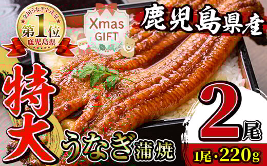 i1078-A-Xm 【クリスマスギフト】＼特大サイズ／ 鹿児島県産 うなぎ蒲焼 (2尾) 1尾 約220g たれ 山椒付きうなぎ 鰻 ウナギ 特大 特大サイズ 特大鰻 蒲焼き 国産 鹿児島県産 選べる 贈答 ギフト プレゼント クリスマス 【薩摩川内鰻】