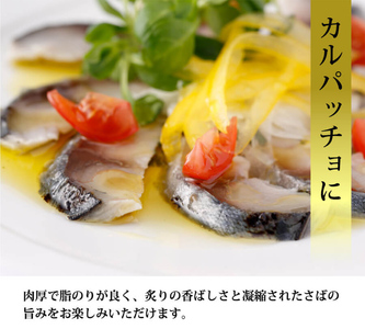国産あぶりしめさば 12パック しめ鯖 冷凍 炙りサバ お刺身 お寿司 おかず