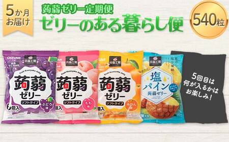 5か月連続お届け蒟蒻ゼリー定期便　540粒　ゼリーのある暮らしセット F21K-482