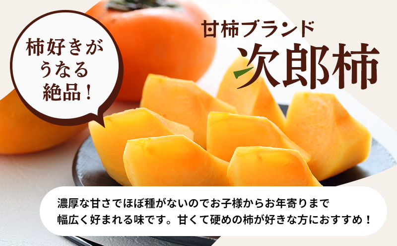 訳あり 長生き次郎柿「長寿郎（ちょうじゅろう）」2L～Mサイズ 5kg 20～28玉入り 12月発送 柿 かき 果物 くだもの フルーツ 次郎柿 静岡 静岡県 訳アリ 浜松市【配送不可：離島】