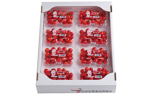 FYN6-528 ≪2026年先行予約≫山形県産 さくらんぼ 品種おまかせ(佐藤錦・紅秀峰など) 1.44kg(180g×8P) 秀 M以上 フードパック詰め 2026年6月中旬頃より発送 果物 くだ