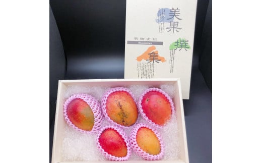 【2025年 発送】室屋さんの完熟マンゴー(訳あり品)約1.6kg3～6玉(中園久太郎商店/017-1760) マンゴー フルーツ 果物 旬 夏 指宿 いぶすき 鹿児島  完熟  お供え 御供 ギフト 贈り物 プレゼント グルメ 南国 南国フルーツ 果実 マンゴー 太陽 国産 鹿児島県産 果汁