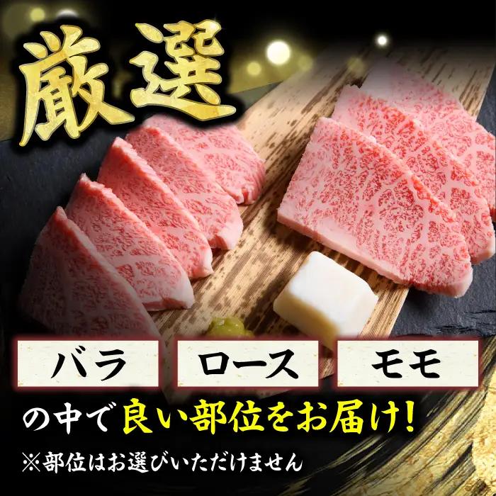 【3回定期便】焼肉用 500g  / 焼き肉 和牛[AFBO070]