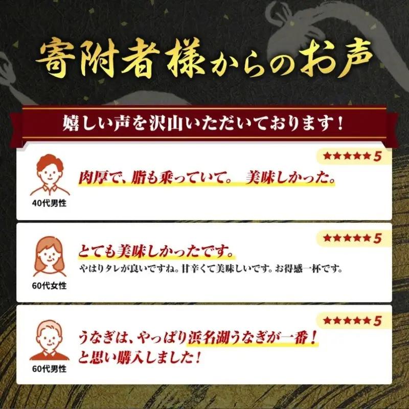 うなぎ 肝焼き付 蒲焼き 3尾 360g 浜名湖産 冷凍 うなぎ