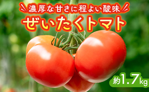 ぜいたくトマト 約1.7kg