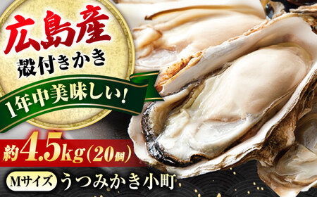 冷蔵牡蠣 うつみ牡蠣小町 約4.5kg  [BAAQ008]