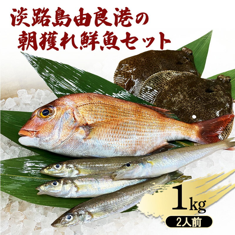【ふるさと納税】淡路島由良港の朝獲れ 鮮魚セット 2人前 魚セット 詰め合わせ 魚 鮮魚 魚介類 兵庫県 洲本市 淡路島