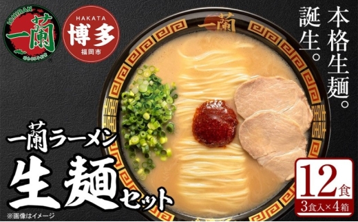 【福岡市】 一蘭 ラーメン 生麺セット 12食入（豚骨ラーメン）＜お届けまで2～3か月＞