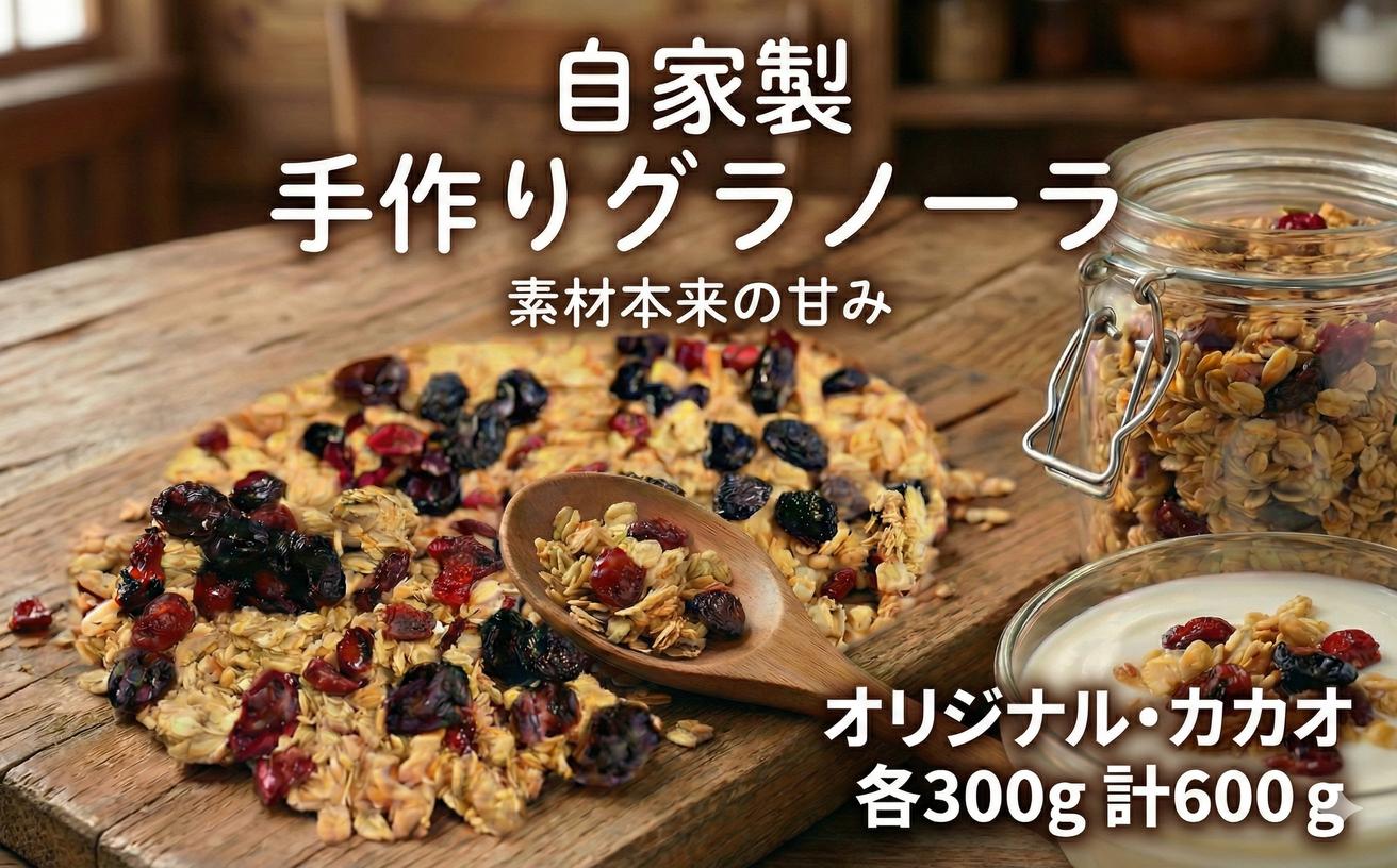 
            自家製 グラノーラセット 2種 計600g 各300g オリジナル カカオ クランベリー ぐらのーら オートミール ココナッツミルク 全粒粉 gurano-ra ヨーグルト お菓子 おやつ 栄養 きび砂糖 ココナッツ スパイス  FineFoods 神奈川 湘南 藤沢
          
