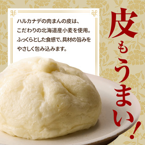 たけのこ入り国産小麦の手作り肉まん6個セット 「京都山城産」たけのこ入り 豚バラブロック 手作り 国産小麦 肉まん にくまん たけのこ おやつ 軽食 パン工房　Haru-Kanade　ハルカナデ  0